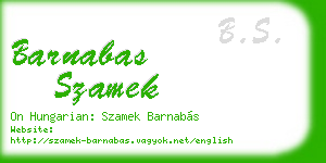 barnabas szamek business card