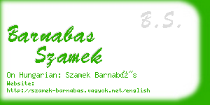 barnabas szamek business card